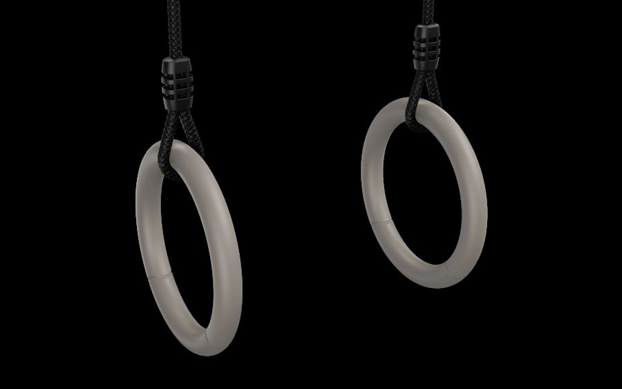 BERG PlayBase Gym rings